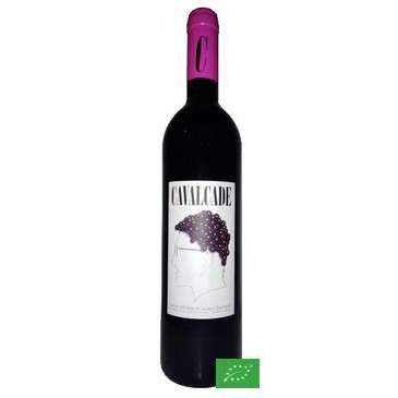 Cavalcade Laurent Guichard VDP Vaucluse