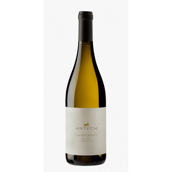 Chardonnay IGP OC - Domaine Antech Antech - Domaine Antech Pays d'Oc IGP