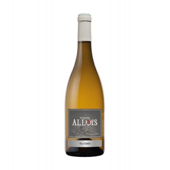 Terre d'Aïlleuls blanc  Alloïs - Domaine Alloïs PDO Ventoux