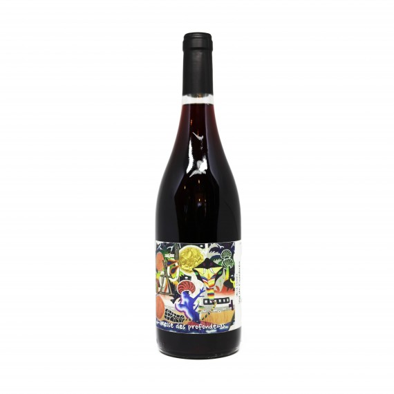 L'Ivresse des Profondeurs Val de Combres Vin de France - VSIG