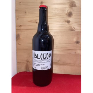 Blup Bière Ambrée 