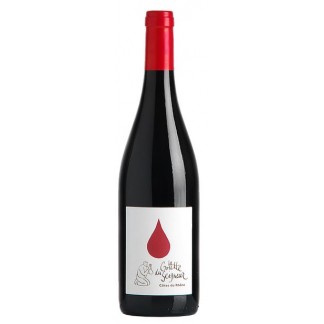 La Goutte du Seigneur Côte du Rhône rouge - Domaine Duseigneur